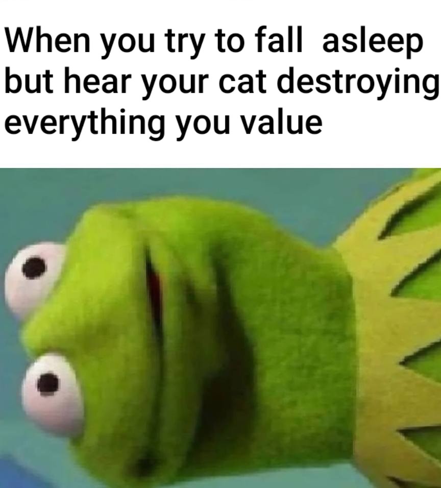 It's their job - meme