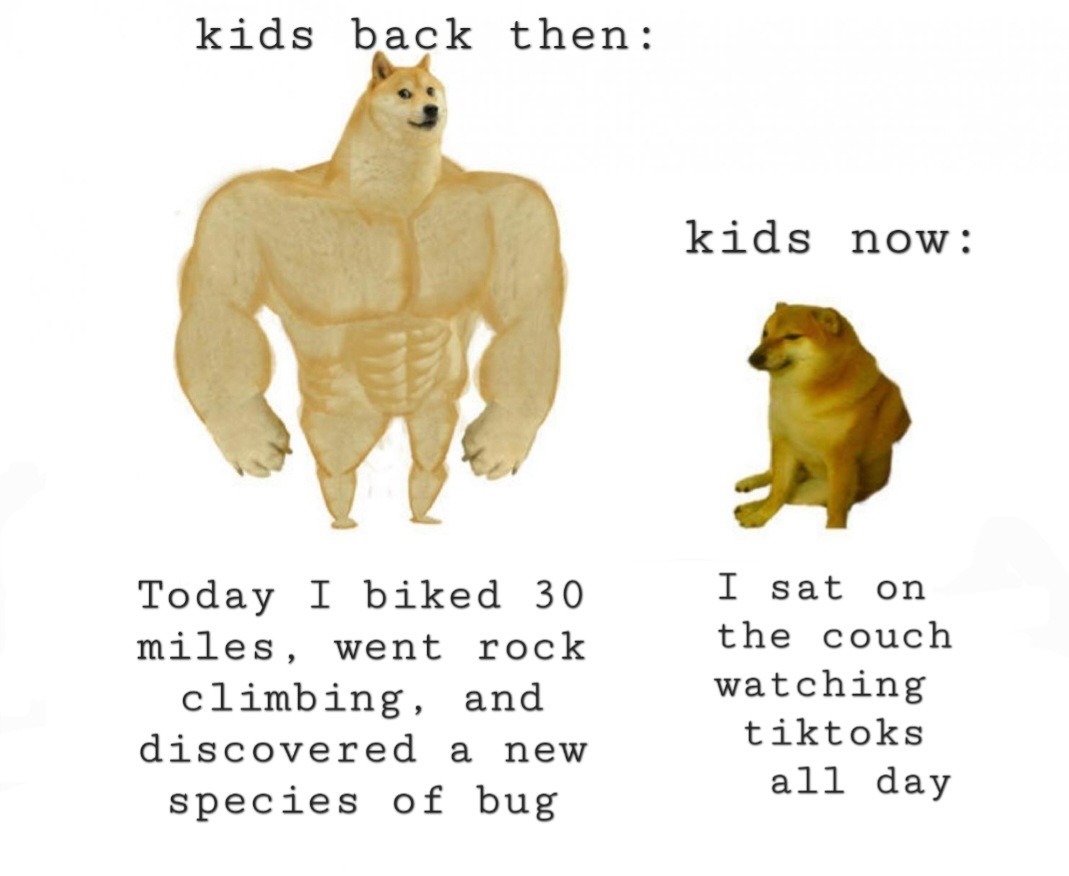 What did you guys do as kids? - meme