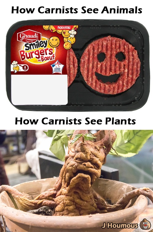 "I don't want to see your videos! ...  But plants have feelings too!" - meme