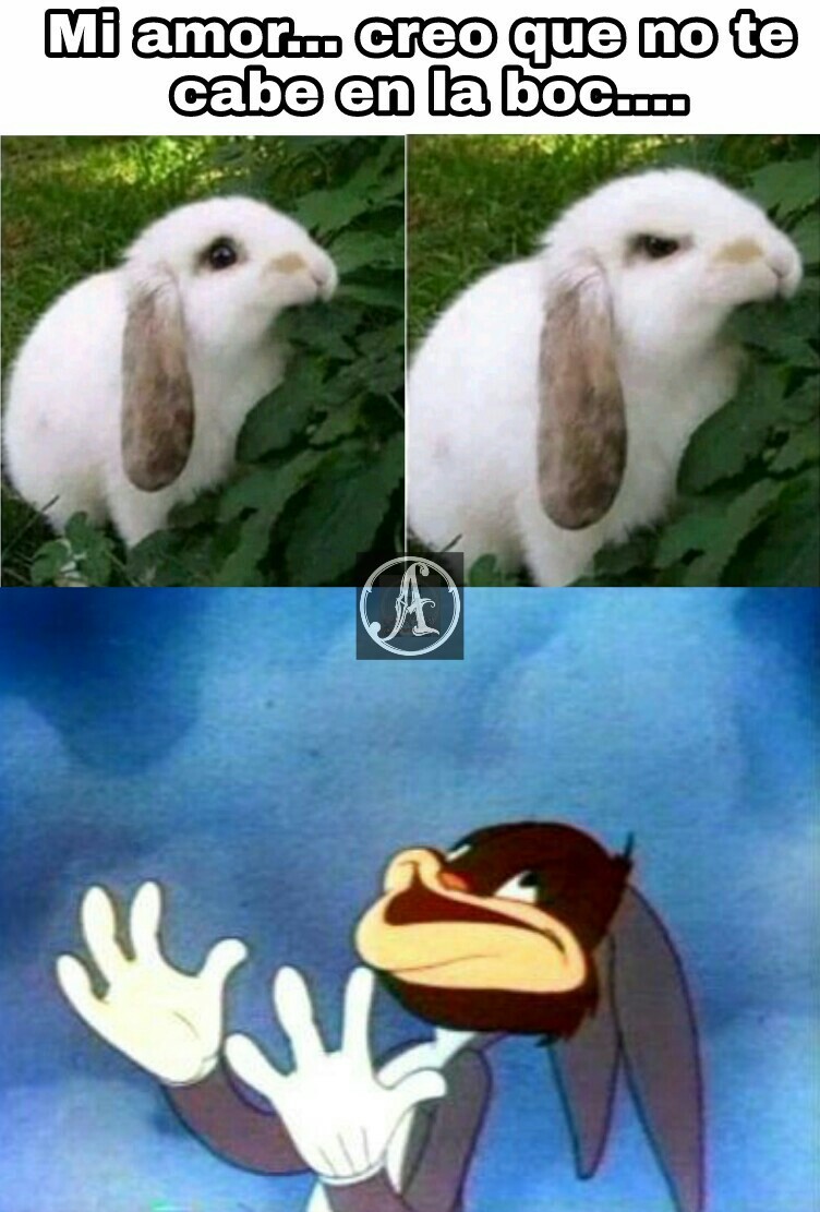Siganme los conejos :^) - meme