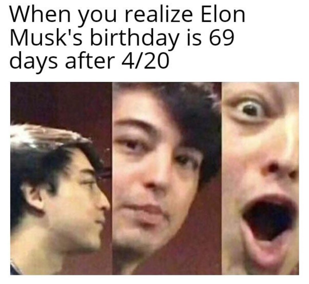 Elon musk - meme