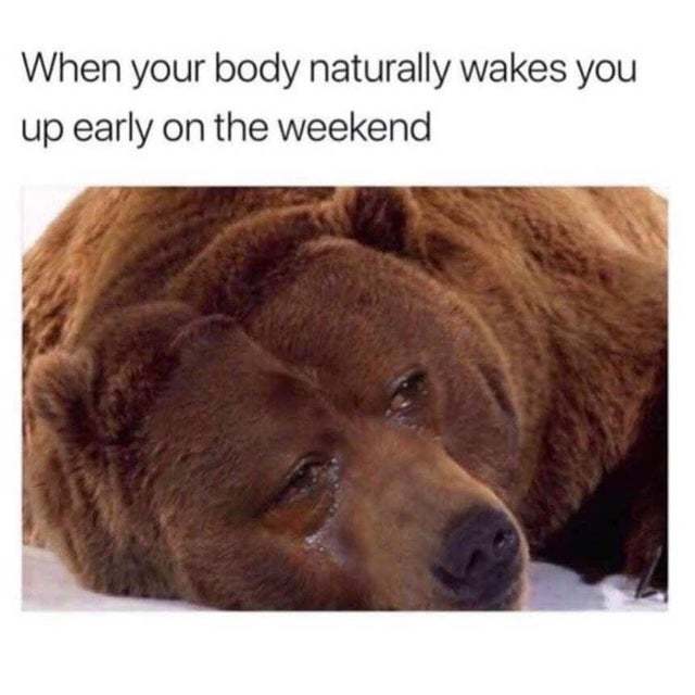 When your body naturally wakes you up early on the weekend - meme