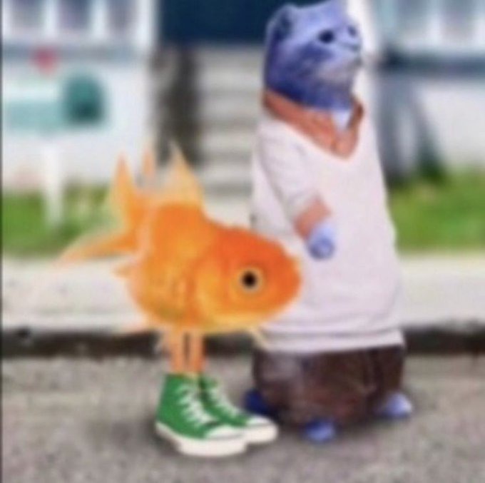 Gombal y Daruin - meme