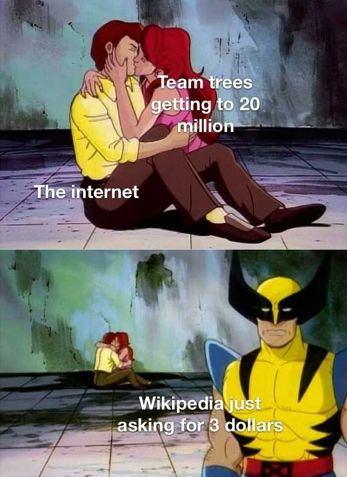 Wikipedia pobre - meme
