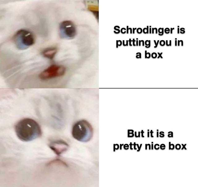 The Schrodinger cat - meme