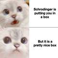 The Schrodinger cat