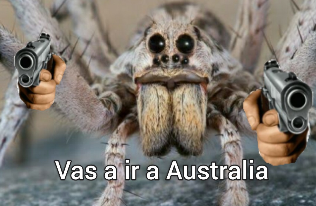 *Se lo lleva a "Australia" - meme