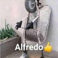 Alfredo 