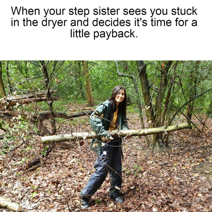 Payback - meme