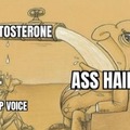 Testosterone meme
