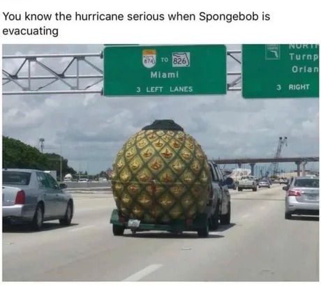 Tropical storm warning meme