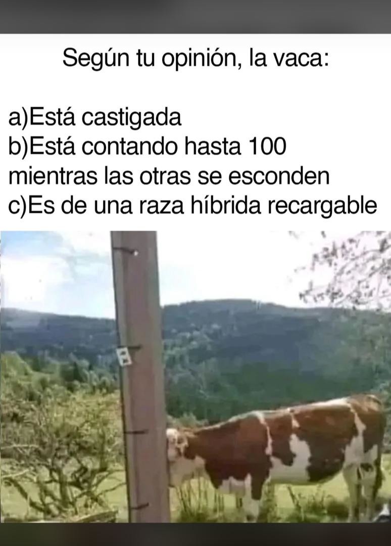 Obio es la d) - meme
