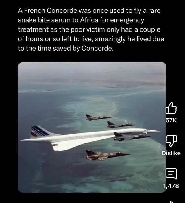 Concorde literally saved a guy with a snakebite serum speedrun - meme
