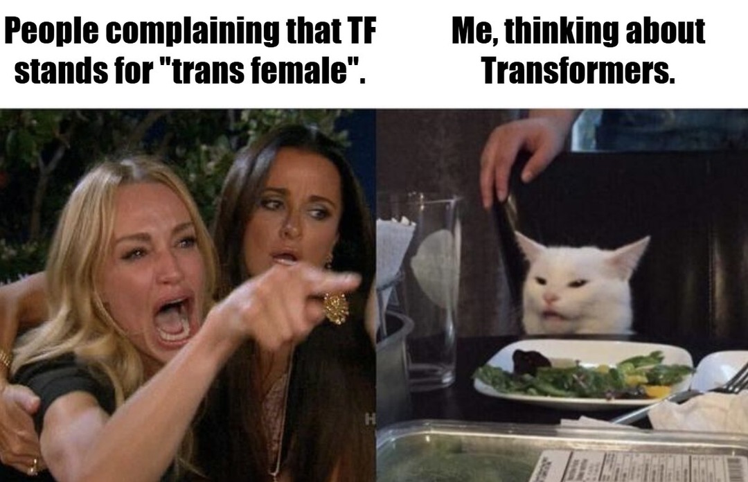 Thought TF meant Transformers and not... yeah - meme