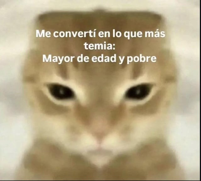 adulto arruinado - meme