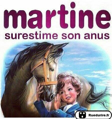 Ah... Sacré Martine - meme