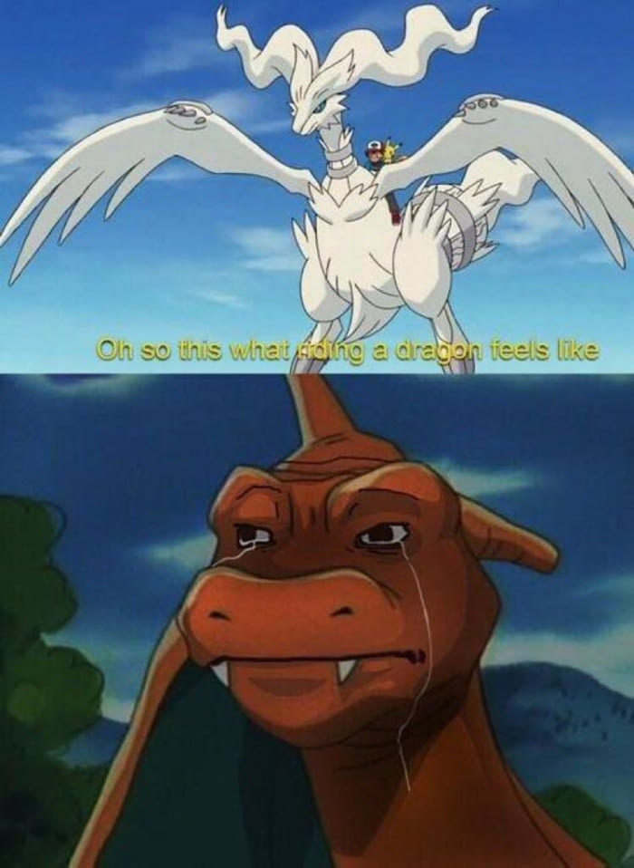 Riding a dragon - meme