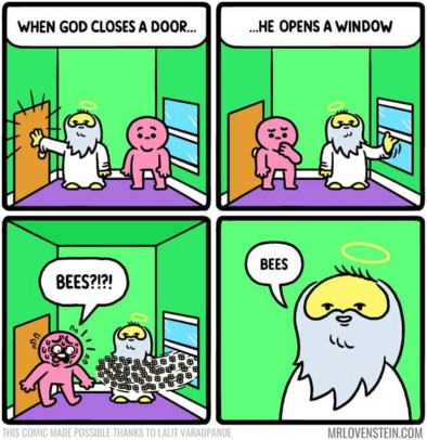 Bees - meme