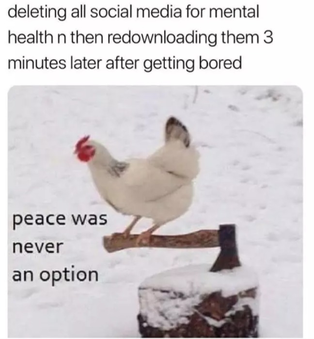 peace was never an option - meme