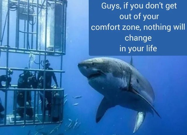 Self-help Shark Thursday - meme