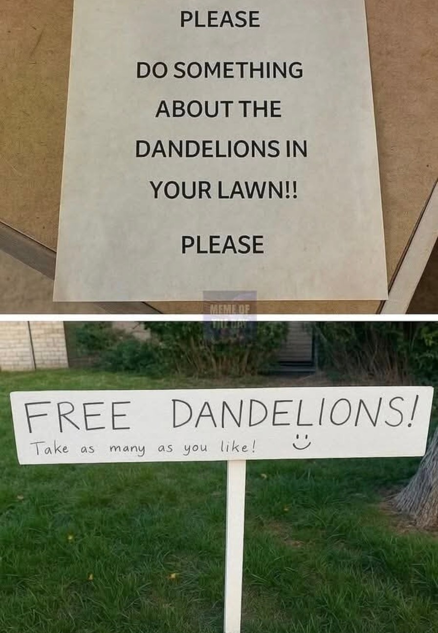 Free dandelions, take the whole squad home - meme