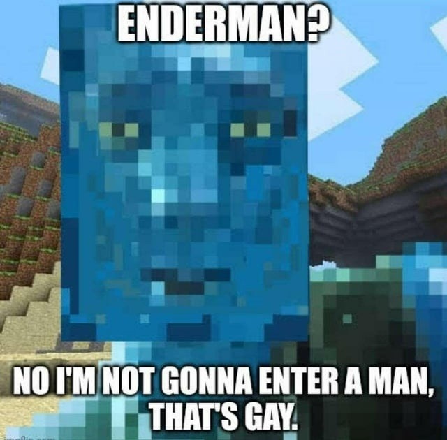 Enderman's name... misunderstood on purpose - meme
