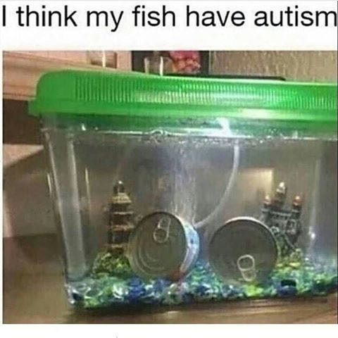 Down syndrome Fishes - meme