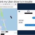 Brown uber diver
