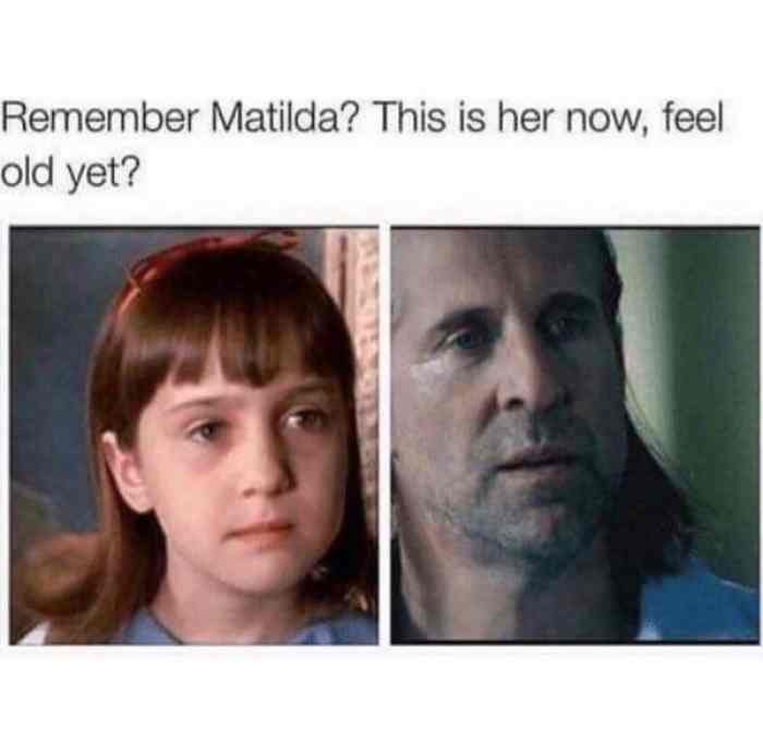 Time flies - meme