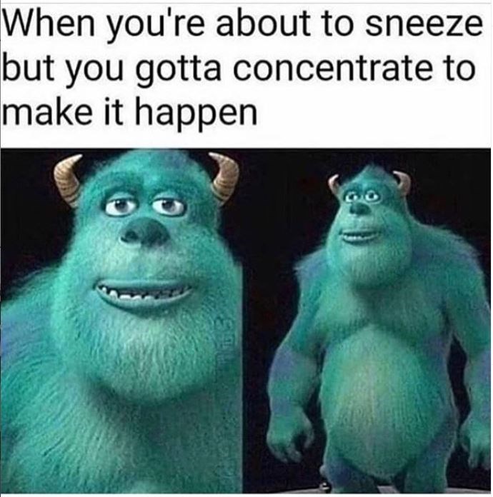 Sneeze..... - meme
