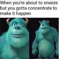 Sneeze.....