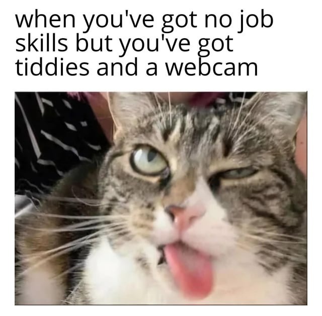 No job skills but you're hot - meme