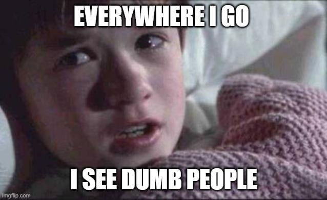 Everywhere I go I see dumb people - meme