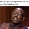 Why do people  even look at memes on instagram tho?