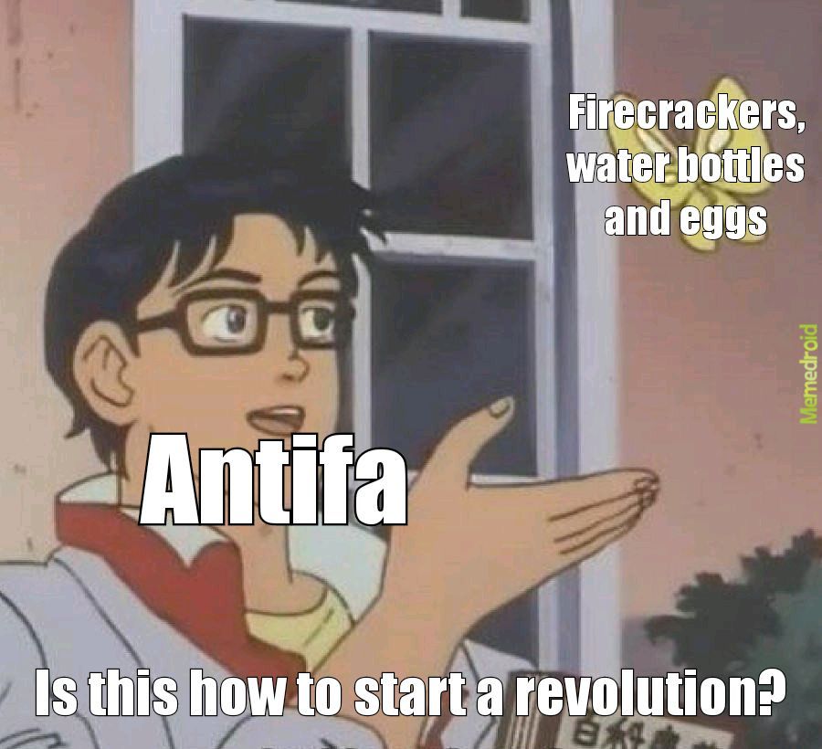 Is this the best Antifa has to offer? - meme