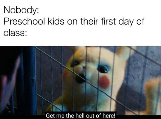 Preschool kids on their first day of class - meme