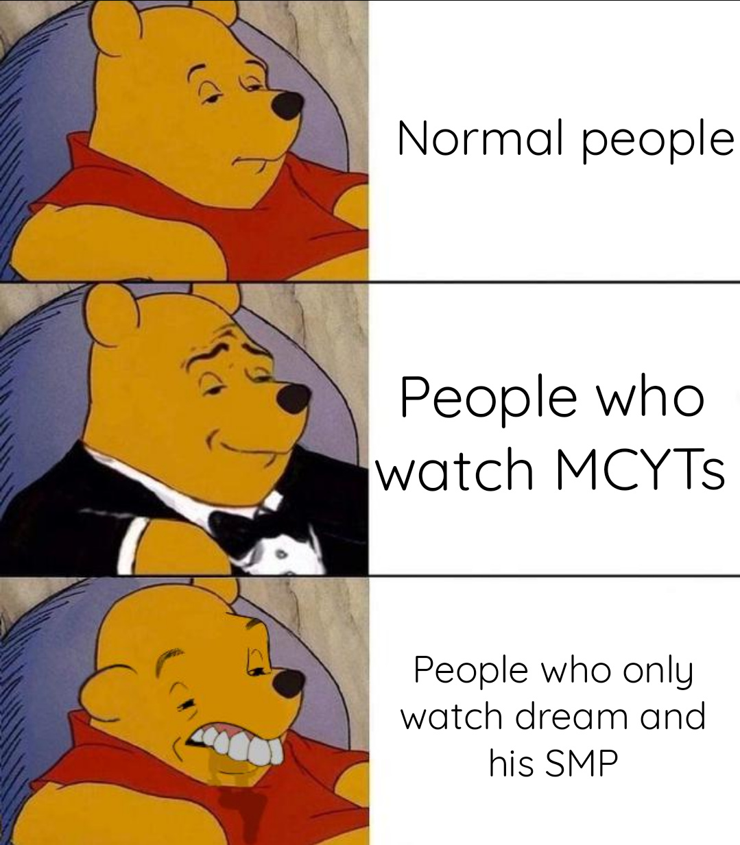 9 Year old dream stans - meme