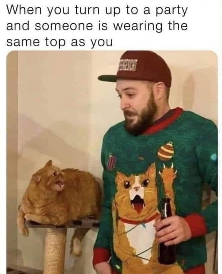 cat doesn’t like your shirt - meme