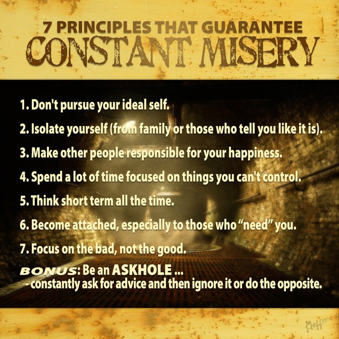 7 Principles of Misery - meme