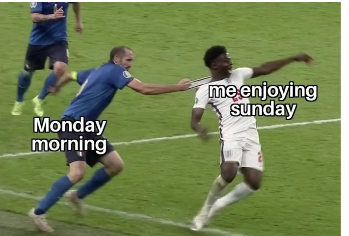 When you try to enjoy Sunday by then there's Monday: - meme
