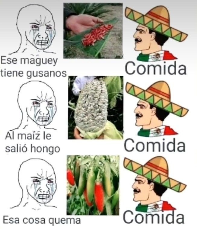 Comida - meme