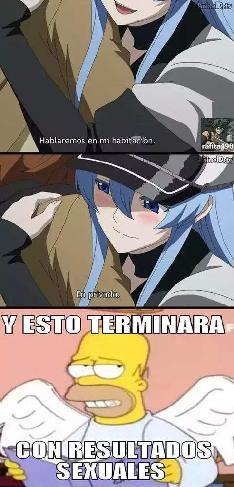 Anime Memes on X: Akame ga kill meme No.162  / X