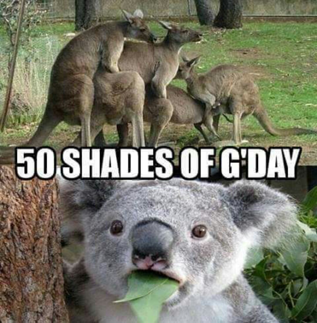 50 shades of G'Gay - meme