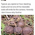 Ungrateful toad