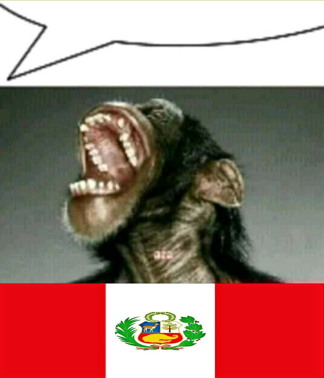 Los peruanos son los mejores en todo aspecto y además es el mejor país de toda Latinoamérica junta - meme