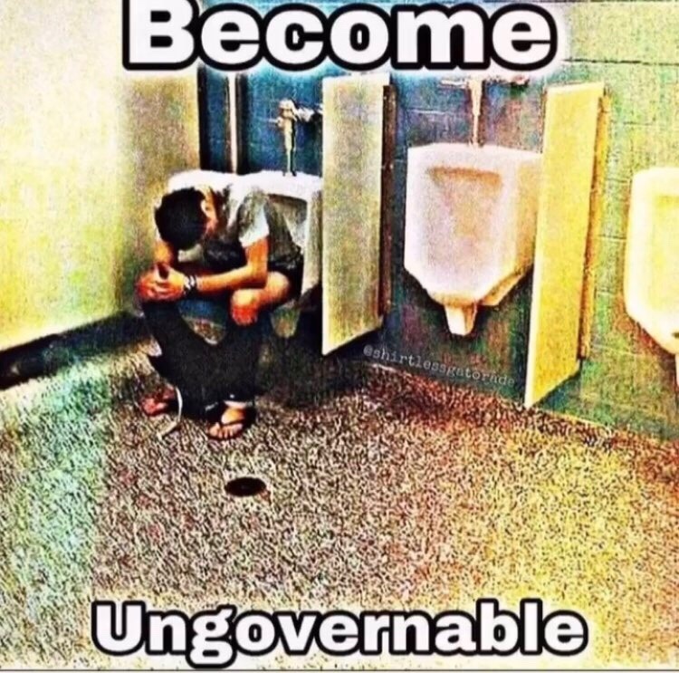 screw the government. - meme