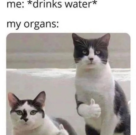 happy organs - meme