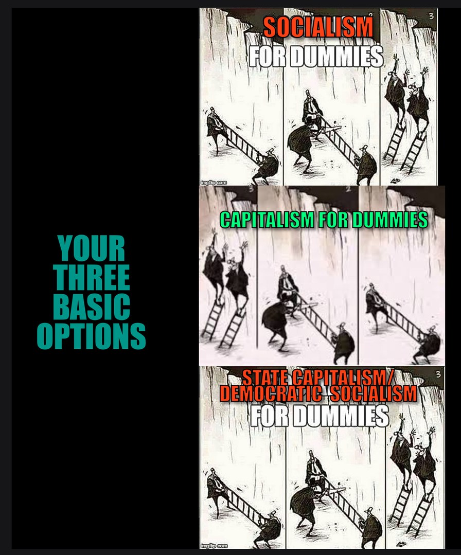 socialism vs capitalism vs state capitlaism - meme