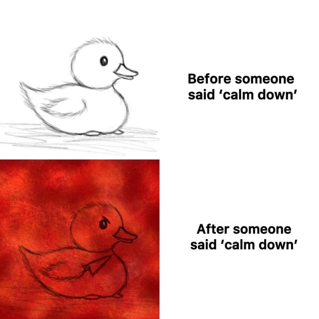 Before calm down: mildly annoyed. After calm down: war - meme