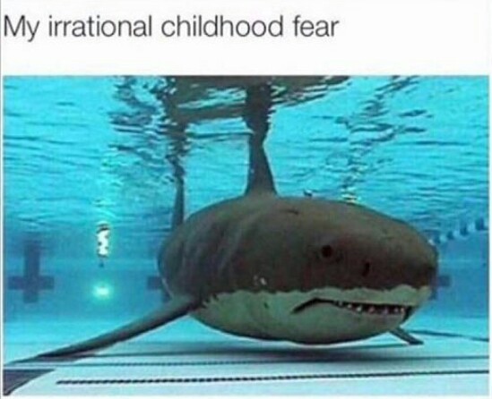 Shark - meme